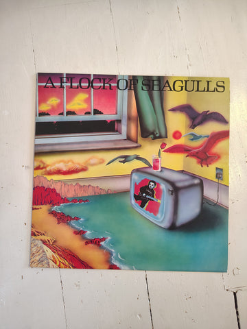 A flock og Seagulls