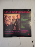 A flock og Seagulls